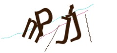 Identifying code
