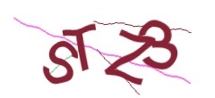 Identifying code