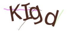 Identifying code