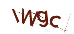 Identifying code