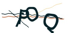 Identifying code