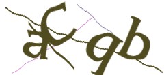 Identifying code