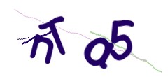 Identifying code
