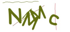 Identifying code