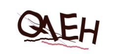 Identifying code