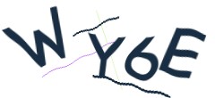 Identifying code
