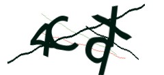 Identifying code