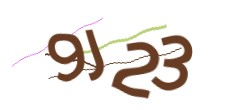 Identifying code