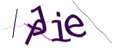 Identifying code