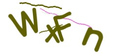 Identifying code