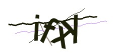 Identifying code