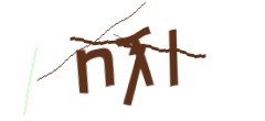 Identifying code