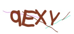 Identifying code