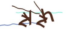 Identifying code