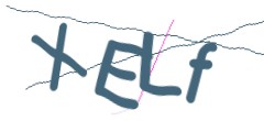 Identifying code