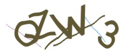 Identifying code