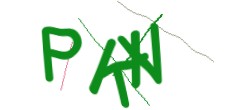 Identifying code