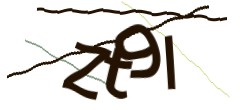Identifying code
