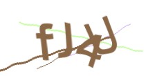 Identifying code