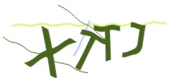 Identifying code