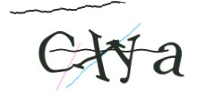 Identifying code