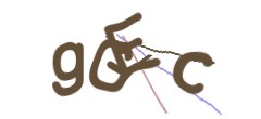 Identifying code