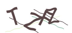 Identifying code