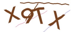 Identifying code