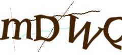 Identifying code
