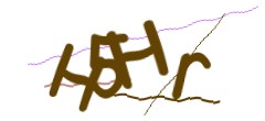 Identifying code