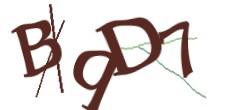 Identifying code