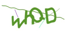 Identifying code