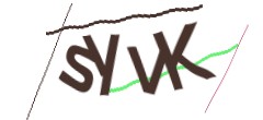 Identifying code
