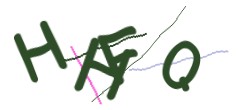 Identifying code
