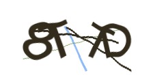 Identifying code
