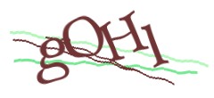 Identifying code