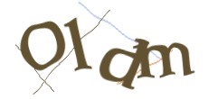 Identifying code