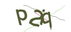 Identifying code