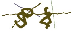 Identifying code