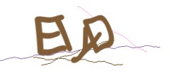 Identifying code