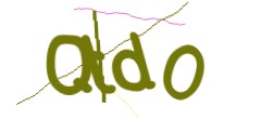 Identifying code