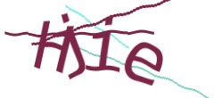 Identifying code