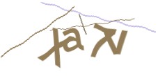 Identifying code