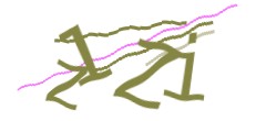 Identifying code