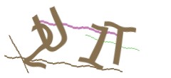 Identifying code