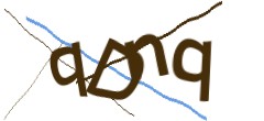 Identifying code