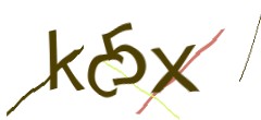 Identifying code