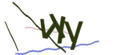 Identifying code