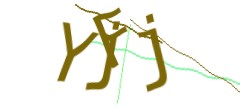 Identifying code