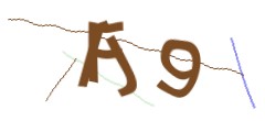 Identifying code
